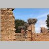 2015_10_06_0074_Rabat-Ruines_de_Chellah_IMG_5516_72dpi.jpg